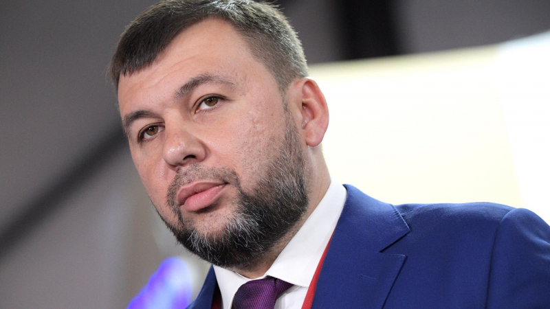 Пушилин встретился с делегатами из Африки