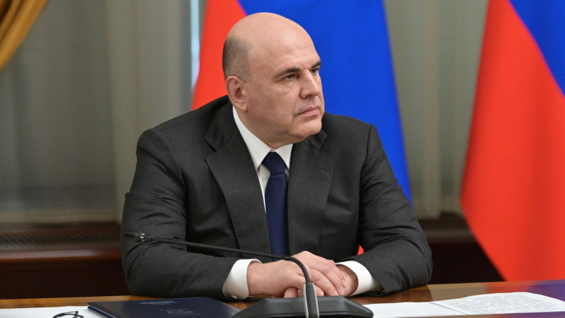 Страны СНГ формируют общий рынок труда, заявил Мишустин