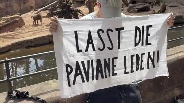 Немецкие зоозащитники протестуют против убийства обезьян в зоопарке