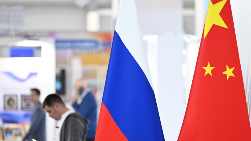 Россия и Китай будут работать над защитой амурских тигров, барсов и панд