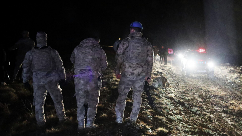 Появились новые подробности крушения самолета с ливийской делегацией