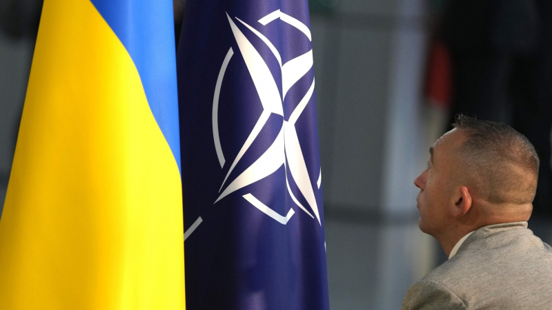 Украине придется отказаться от членства в НАТО, заявил эксперт